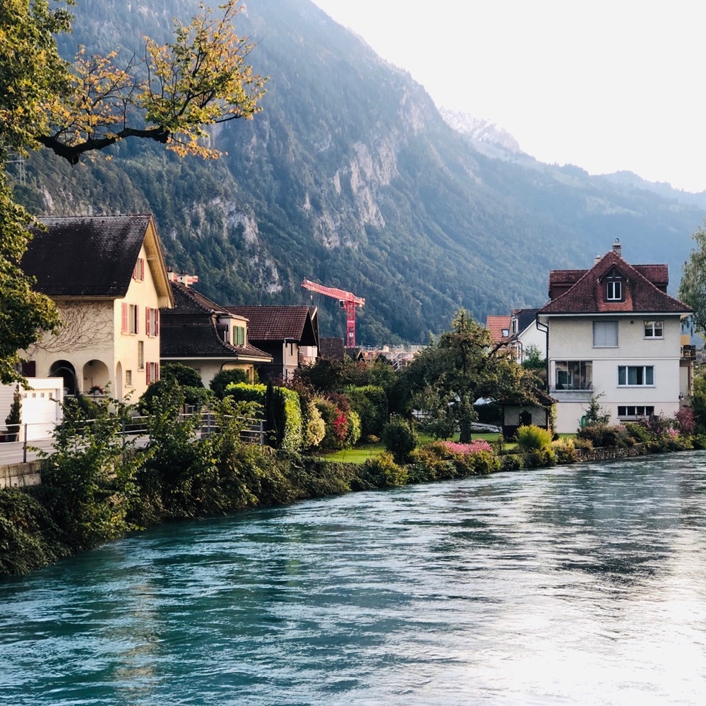 Meet your Posher, Genesy